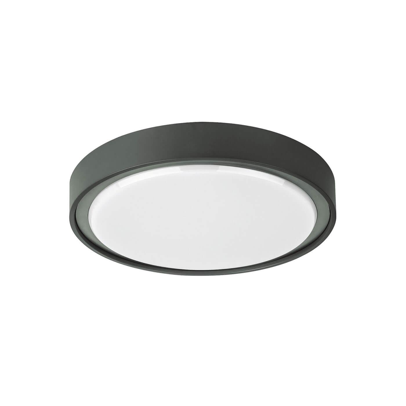 Plafoniera de exterior rotunda minimalista ANABELLA gri inchis cu LED 19W