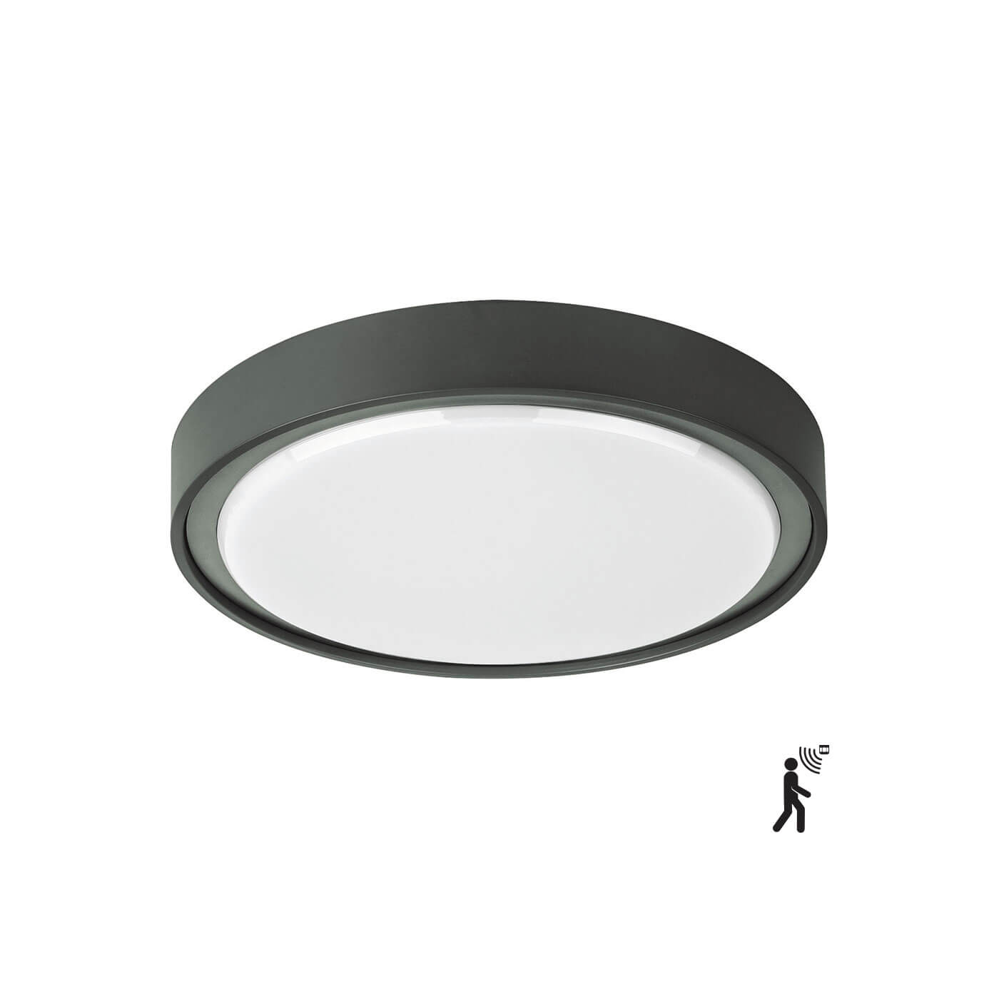 Plafoniera de exterior rotunda minimalista ANABELLA gri inchis cu senzor