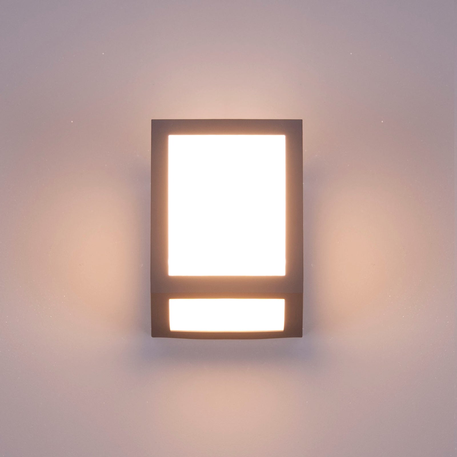 💡 Aplica BERT neagra Domicilio